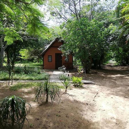 We Bushcamp & Horse Safaris Villa Hluhluwe Exteriör bild