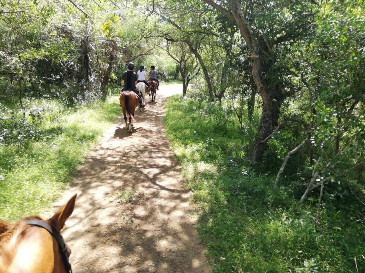 We Bushcamp & Horse Safaris Villa Hluhluwe Exteriör bild