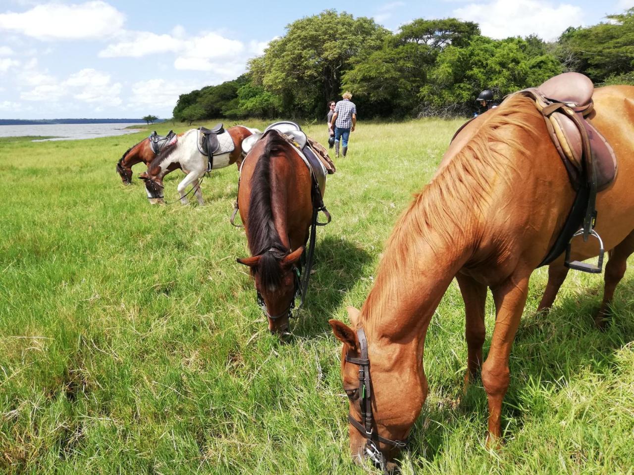 We Bushcamp & Horse Safaris Villa Hluhluwe Exteriör bild