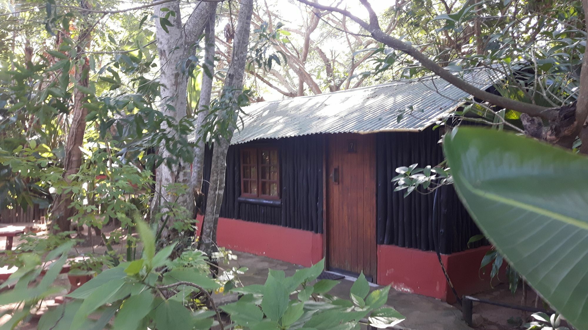We Bushcamp & Horse Safaris Villa Hluhluwe Exteriör bild