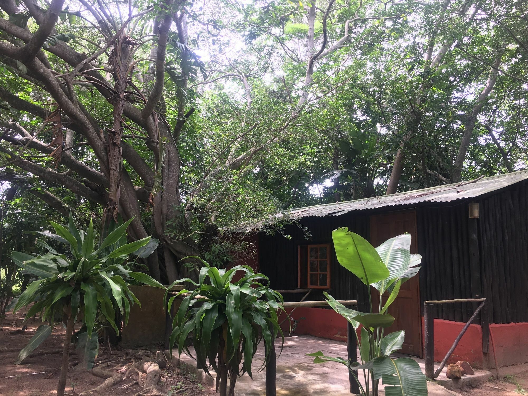 We Bushcamp & Horse Safaris Villa Hluhluwe Exteriör bild