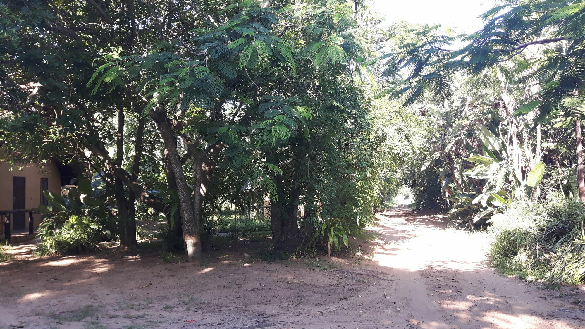 We Bushcamp & Horse Safaris Villa Hluhluwe Exteriör bild