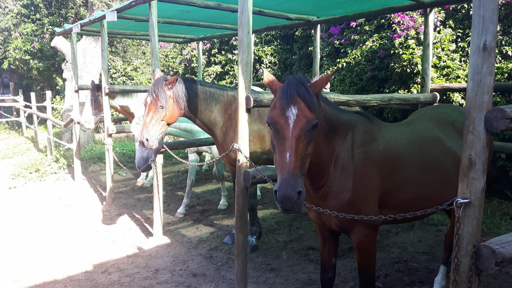 We Bushcamp & Horse Safaris Villa Hluhluwe Exteriör bild